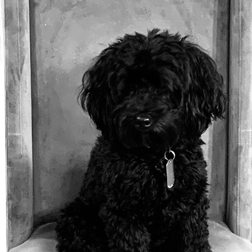 Meet your Posher, Staci